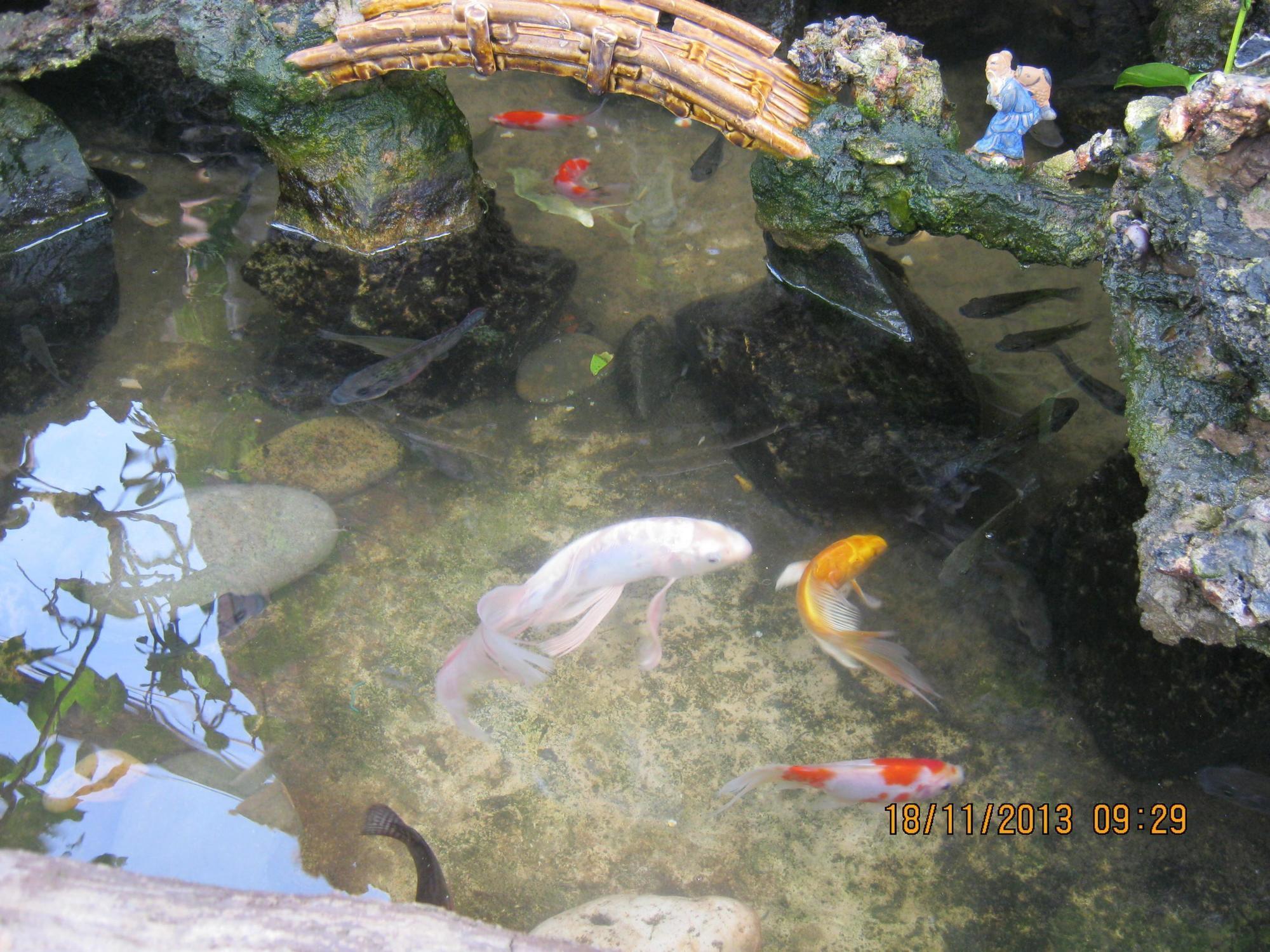 מואי נה Sea Winds Resort מראה חיצוני תמונה